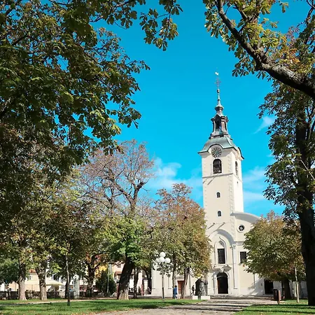 Appartement Elisabeth Seaview By Interhome Turan